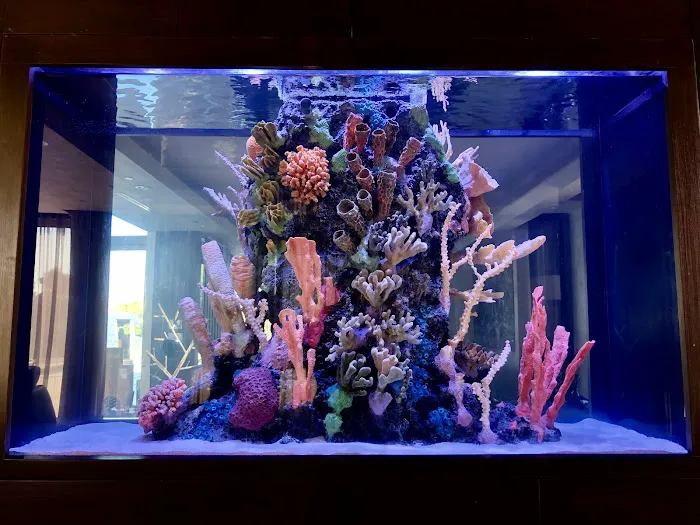 Reef Creations 12
