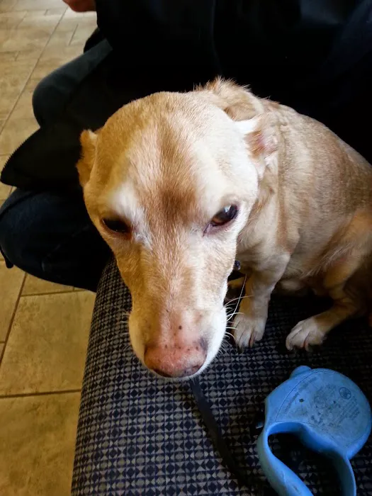 Bethany Animal Hospital 12