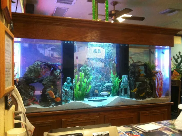 Aqua Biz Inc 7