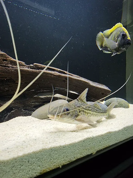 Aqua Biz Inc 4