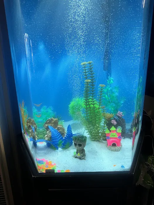 Aqua Biz Inc 3