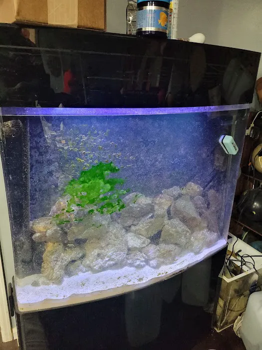 Aqua Biz Inc 2