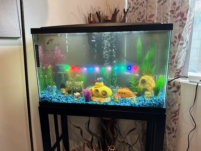 Aqua Biz Inc 6