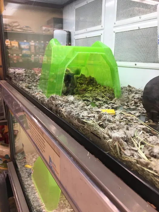 Unleashed by Petco 12