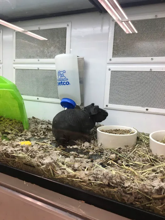 Unleashed by Petco 12