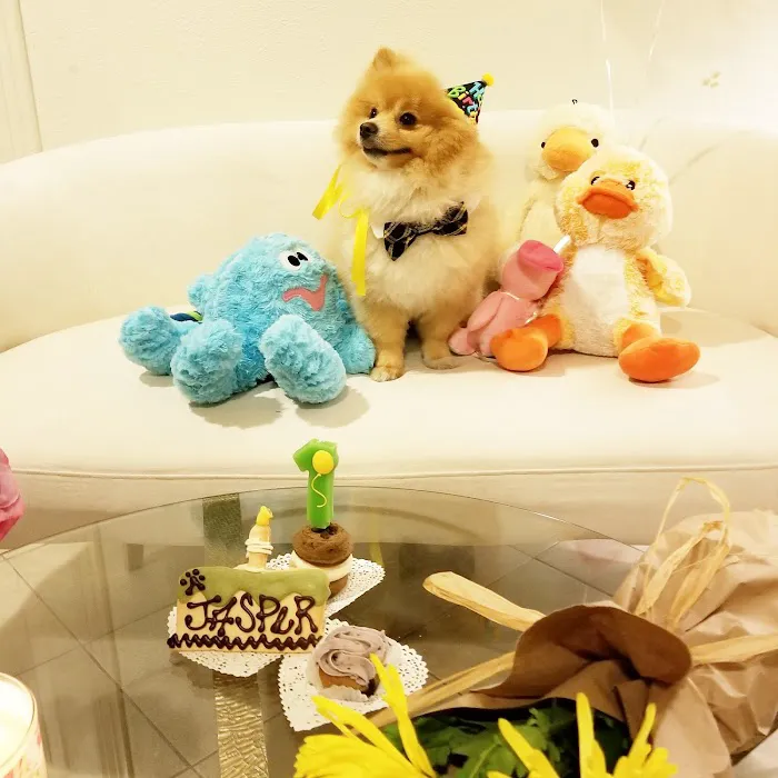 Three Dog Bakery Encino 12