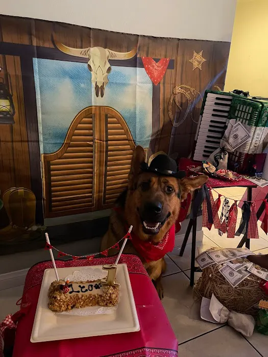 Three Dog Bakery Encino 12