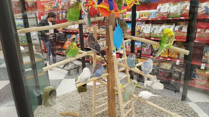 Petco 12