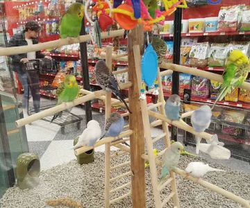 Petco