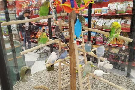 Petco