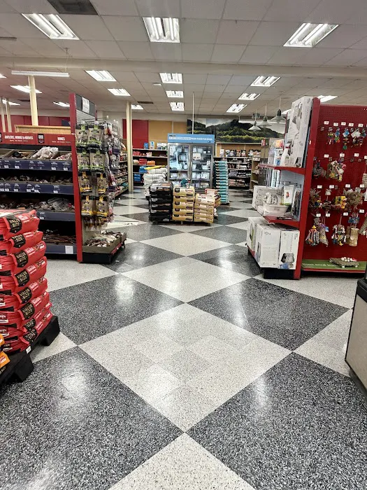 Petco 12