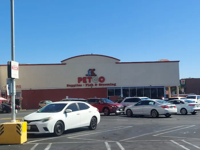 Petco 12
