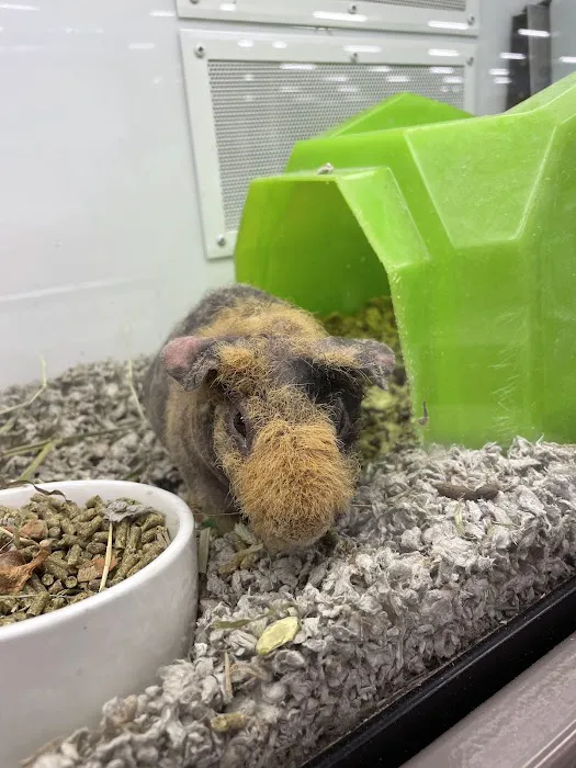 Petco 12