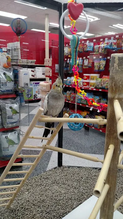 Petco 12