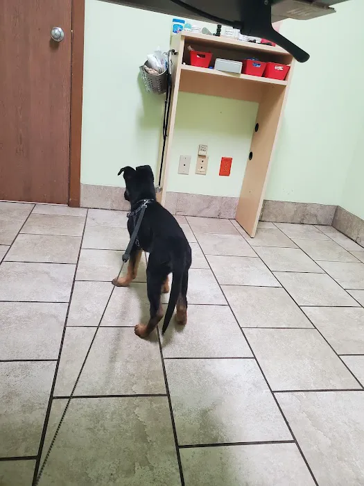 Belvidere Family Pet Hospital 12