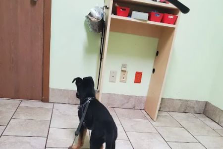Belvidere Family Pet Hospital