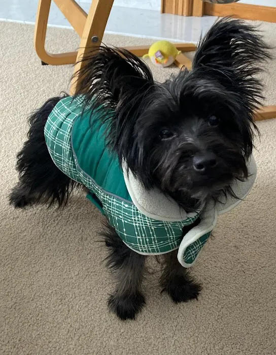 Belvidere Family Pet Hospital 12