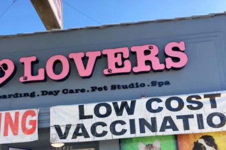 Pet Lovers