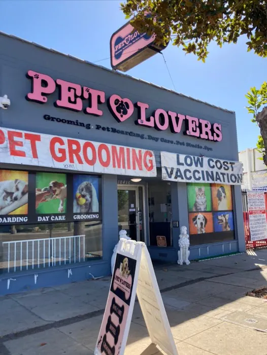 Pet Lovers 12