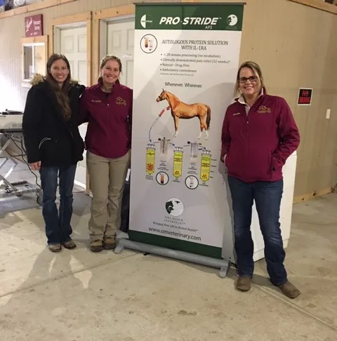 Lewis Veterinary Services LLC 12