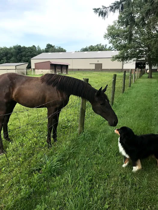 Lewis Veterinary Services LLC 12