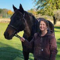 Lewis Veterinary Services LLC ico
