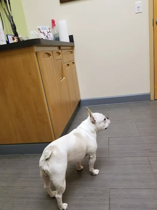 Towne Animal Clinic 5