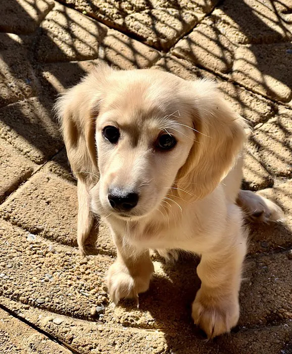 Towne Animal Clinic 6