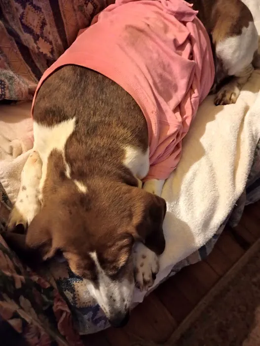 Animal Care Center 8