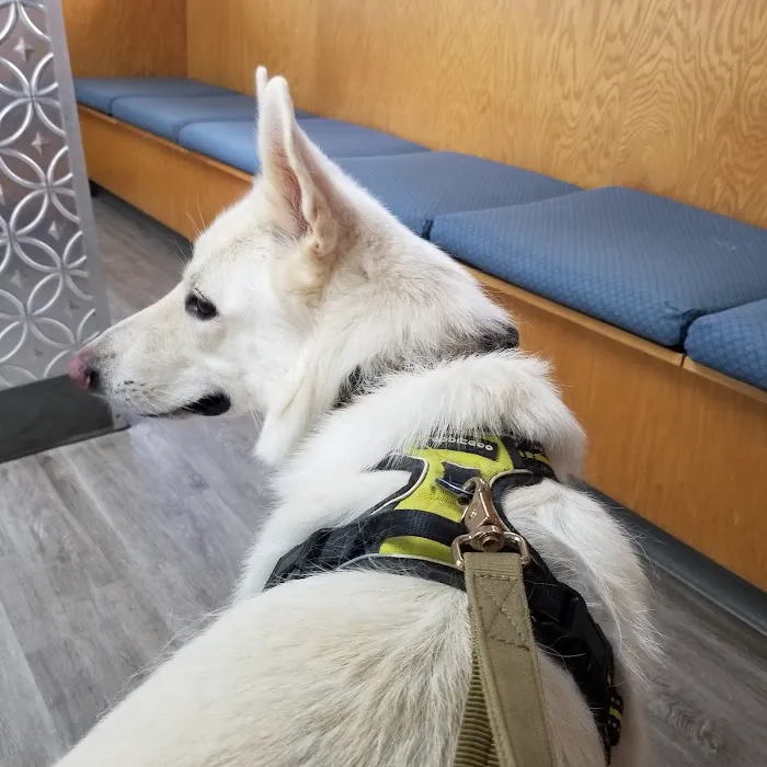 Compassion Animal Hospital 7