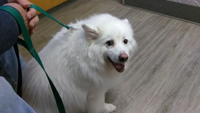 Compassion Animal Hospital 3
