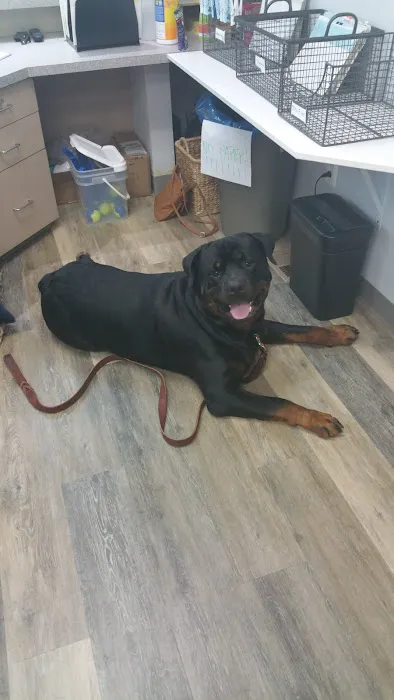 Piedmont Pets Veterinary Care 7