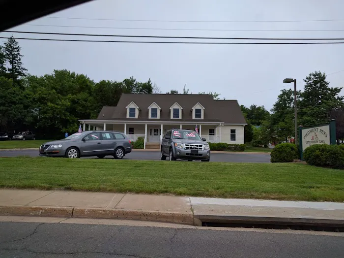 Piedmont Pets Veterinary Care 10