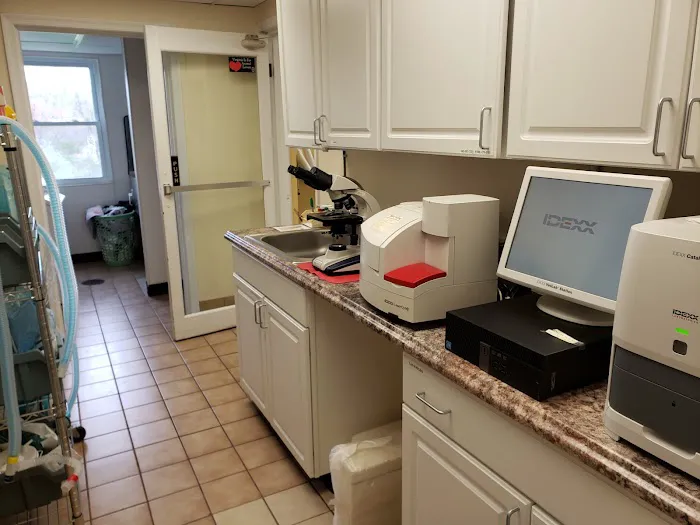 Middleburg Animal Hospital 1