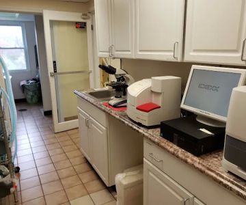 Middleburg Animal Hospital