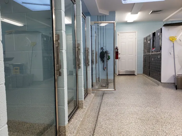 Middleburg Animal Hospital 7