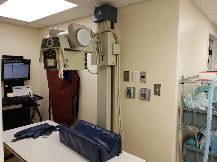 Middleburg Animal Hospital 10