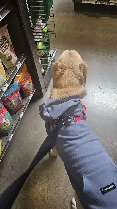 Petco 9
