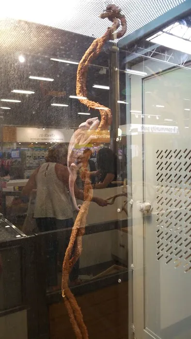 Petco 10