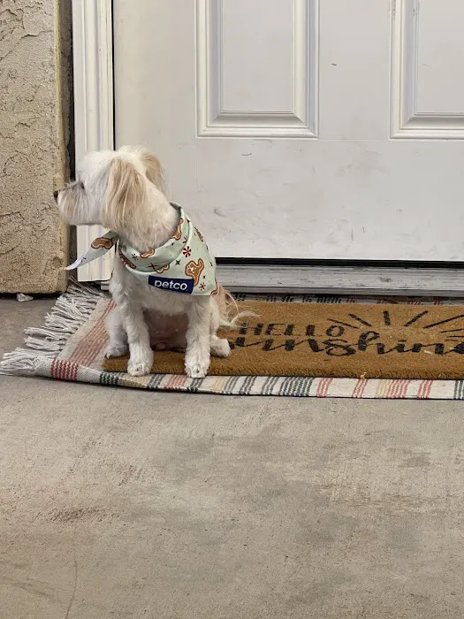 Petco 7