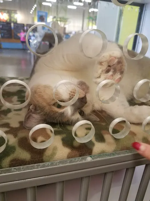 Petco 4