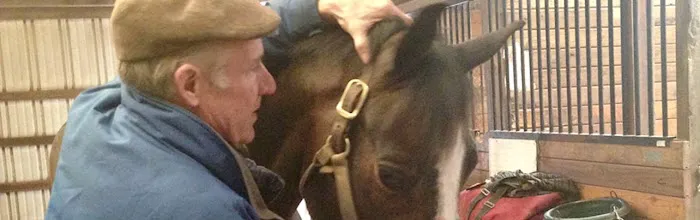 Middleburg Equine Clinic Inc 1