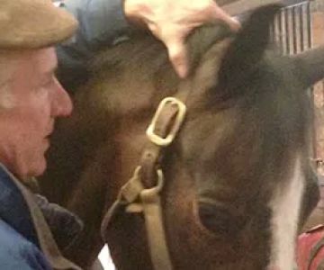 Middleburg Equine Clinic Inc