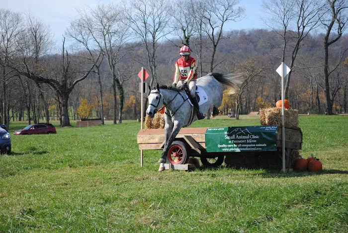 Piedmont Equine Practice 7