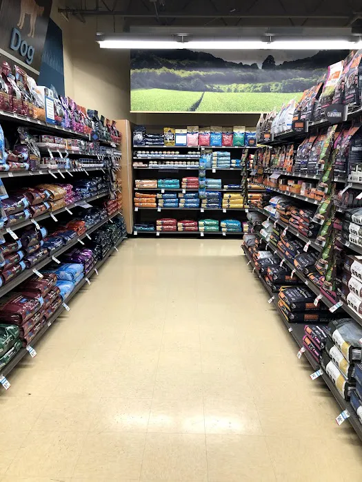 Petco 12