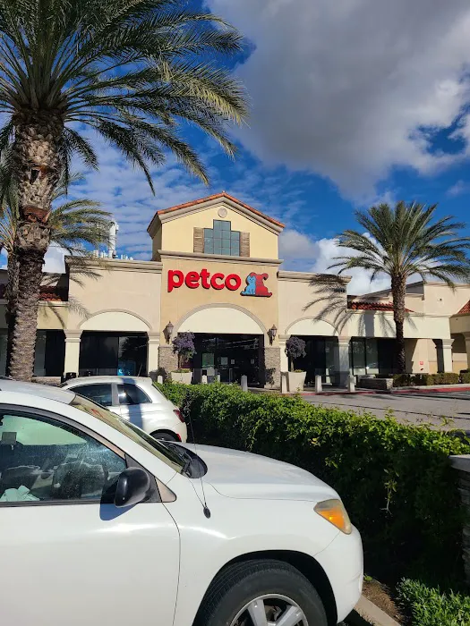 Petco 12