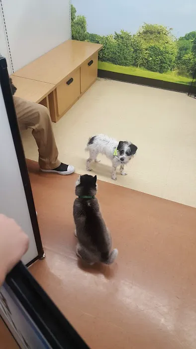 Petco 12