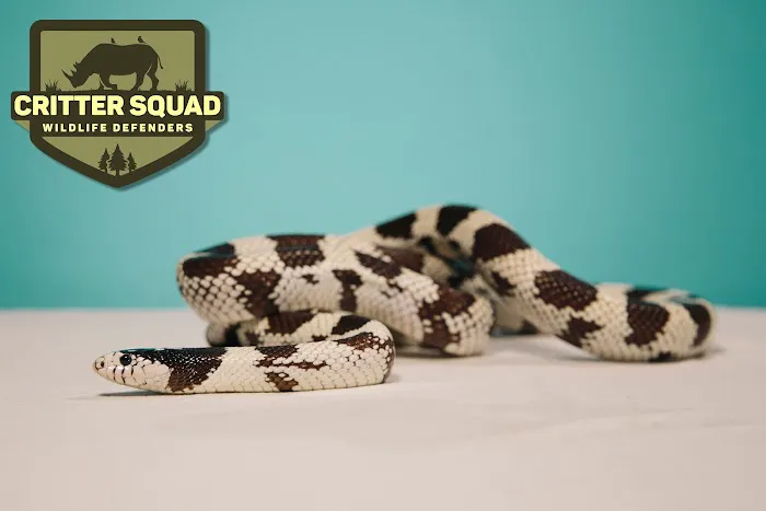 Critter Squad Wildlife Defenders. 12