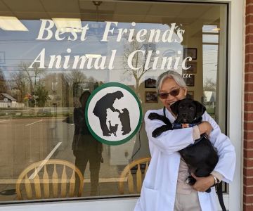 Best Friends Animal Clinic LLC