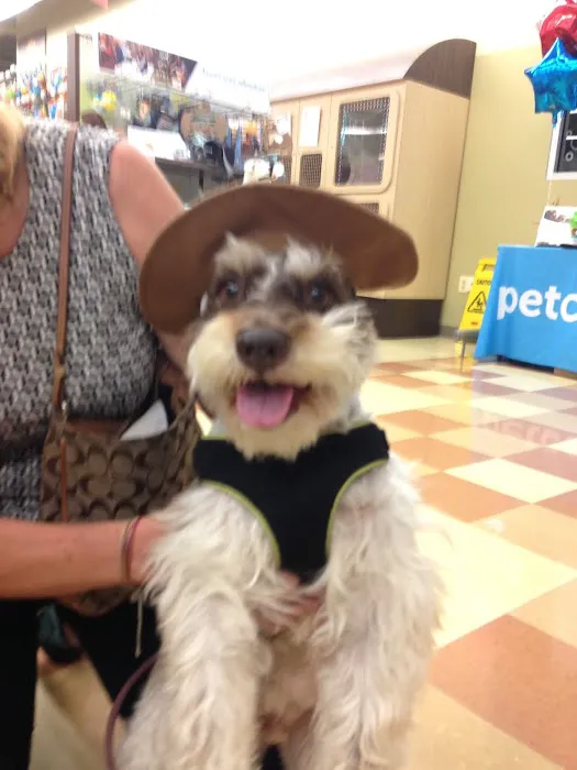 Marshall Veterinary Clinic 3